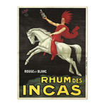 Rhum Des Incas (30"W x 24"H x 1.5"D)