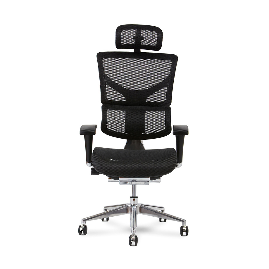 XChair Luxury Office Seating Touch of Modern