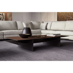 Kensington Coffee Table // Walnut + Graphite (Natural Oak + Bronze)