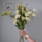 Zoom Thin Quartz // ZM.5010M.2505