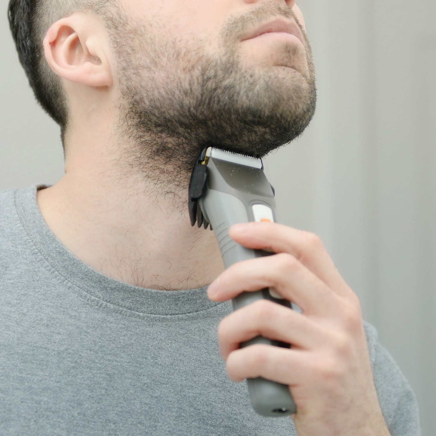 brio beardscape for sale