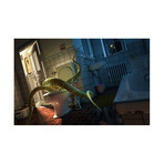 Octopussy (15"W x 10"H)