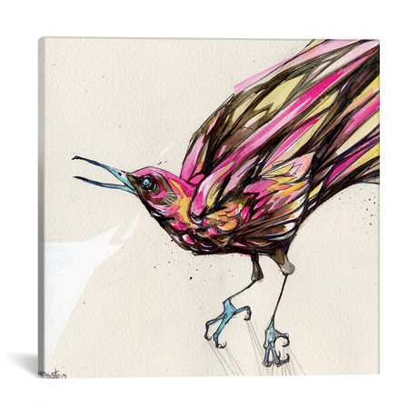 Grackle II (18"W x 18"H x 0.75"D)