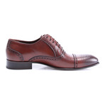 Wingtip Captoe Derby // Brown (Euro: 42)