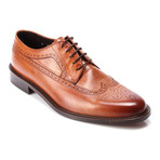 Medallion Wing-Tip Derby // Tobacco (Euro: 44)