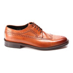 Medallion Wing-Tip Derby // Tobacco (Euro: 44)