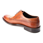 Medallion Wing-Tip Derby // Tobacco (Euro: 44)