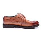 Longline Wingtip Brogue // Antique Tobacco (Euro: 39)