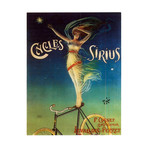 Cycles Sirius (24"W x 30"H x 1.5"D)