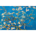 Almond Blossom // Vincent van Gogh // 1888 (26"W x 18"H x .75"D)