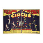 Ringling Bros Circus (30"W x 24"H x 1.5"D)