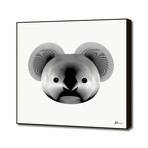 Koala (16"W x 16"H x 1.5"D)