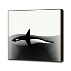 Killer Whale (16"W x 16"H x 1.5"D)