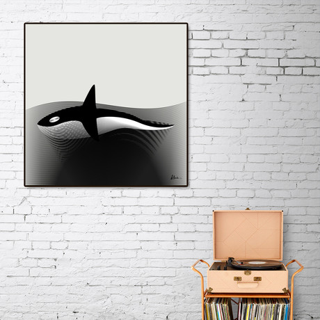 Killer Whale (16"W x 16"H x 1.5"D)