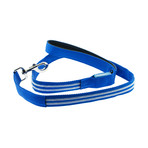 LED Lite Up Leash (Blue)