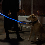 LED Lite Up Leash (Blue)