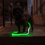 LED Lite Up Leash (Blue)