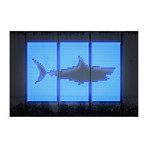 Shark // Octavian Mielu (26"W x 18"H x 0.75"D)