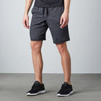 Path Shorts // Slate (S)