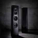 40th Anniversary Three-Way Loudspeaker // 40.2
