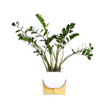 Oscar Rounded Planter // Matte White + Burnished Brass