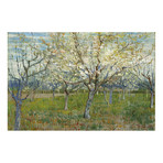 The Pink Orchard // Vincent van Gogh // 1888 (26"W x 18"H x 0.75"D)