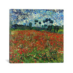 Poppy Field // Vincent van Gogh // c. 1890 (18"W x 18"H x 0.75"D)