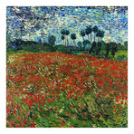 Poppy Field // Vincent van Gogh // c. 1890 (18"W x 18"H x 0.75"D)