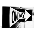 Which Way (One Way) // Bob Larson (18"W x 12"H x 0.75"D)