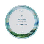 Yellowstone's Old Faithful