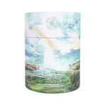 Yellowstone's Old Faithful