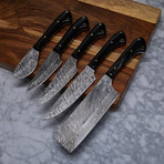 Handmade Damascus Kitchen Knife // 5 Piece Set // KCH-18
