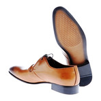 Burnished Dress Shoe // Tobacco (Euro: 40)