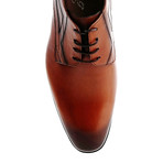 Burnished Classic Derby // Tobacco (Euro: 41)