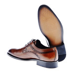 Perforated Toe Cap Oxford // Walnut (Euro: 44)