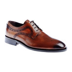 Perforated Toe Cap Oxford // Walnut (Euro: 46)