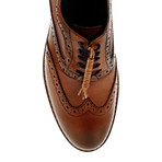 Wingtip Brogue // Tobacco (Euro: 44)