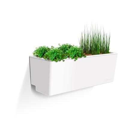 Mini Wall Planter