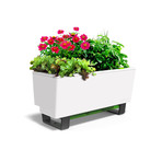 Mini Bench Planter