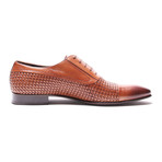 Woven Oxford // Tobacco (Euro: 44)