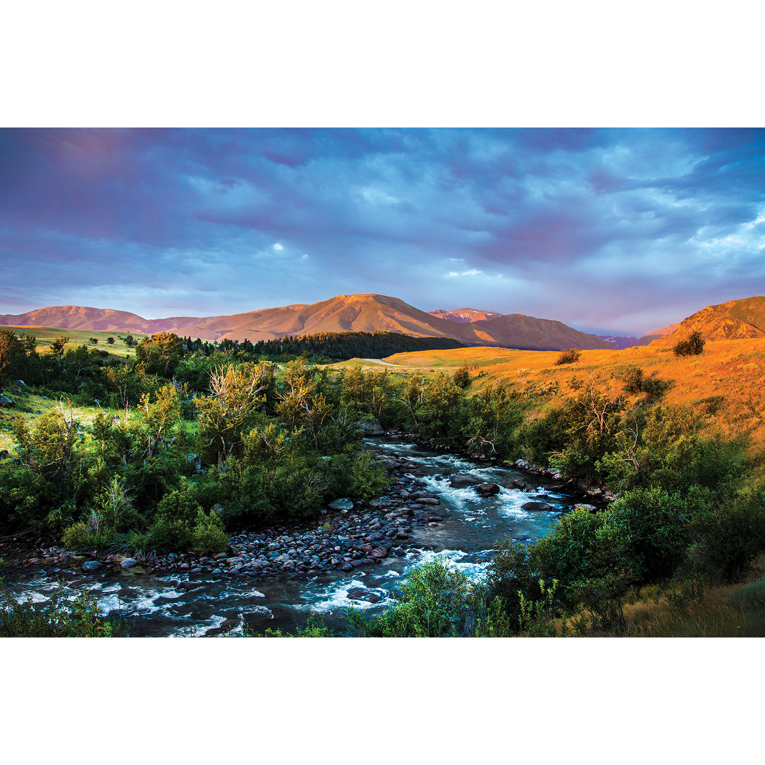 Roscoe Montana (18"W x 12"H x 0.75"D) Sarah Kadlecek Touch of Modern