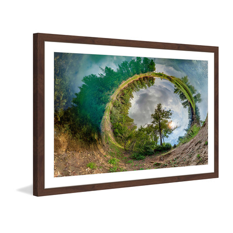 Circle Of Green // Brown Frame (18"W x 12"H x 1.5"D)