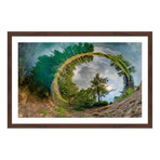 Circle Of Green // Brown Frame (18"W x 12"H x 1.5"D)