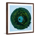 Luscious Green // Brown Frame (12"W x 12"H x 1.5"D)