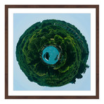 Luscious Green // Brown Frame (12"W x 12"H x 1.5"D)