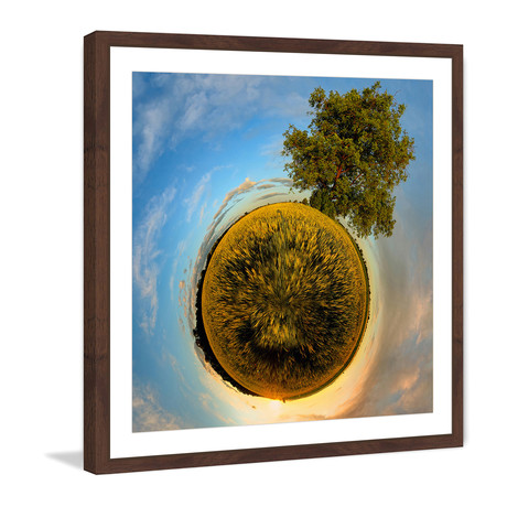 One Tree // Brown Frame (12"W x 12"H x 1.5"D)