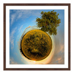 One Tree // Brown Frame (12"W x 12"H x 1.5"D)