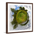 Greenery // Brown Frame (12"W x 12"H x 1.5"D)