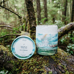 Yellowstone's Old Faithful