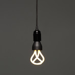 Baby Plumen 001 CFL